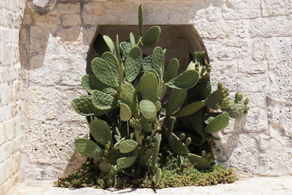 Trulli Holiday Albergo Diffuso Alberobello Luaran gambar